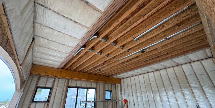 WhatsApp Image 2025-09-25 at 8.23.48 PM (4)